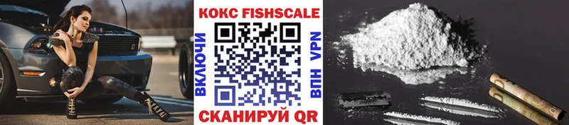COCAIN Эквадор  Купить закладки  Терек 