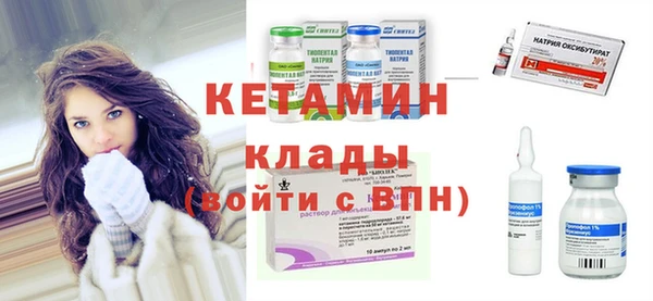 прущие грибы Тайга