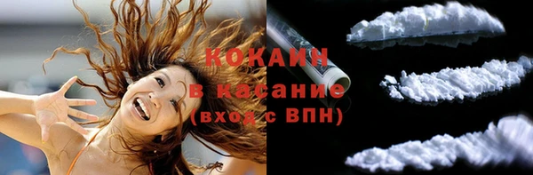 сатива Сясьстрой