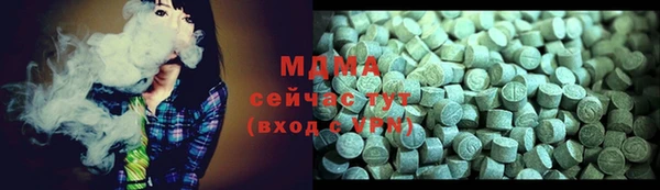 прущие грибы Тайга