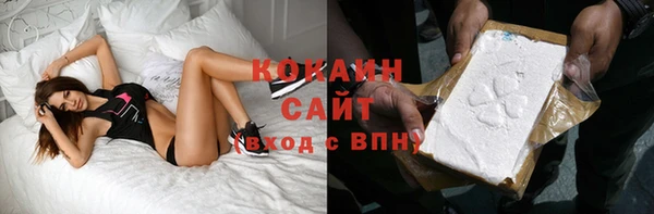 прущие грибы Тайга