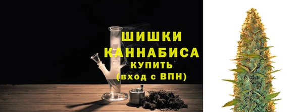 мдпв Тавда