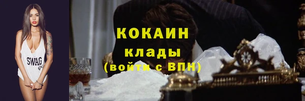 сатива Сясьстрой