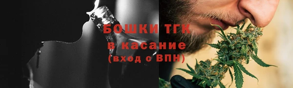 сатива Сясьстрой