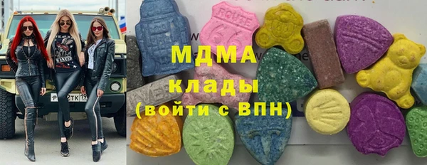 прущие грибы Тайга