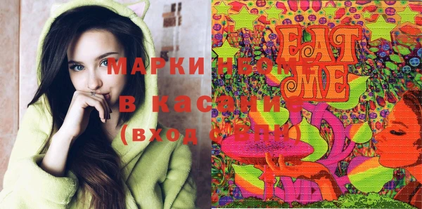 сатива Сясьстрой