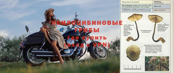 мдпв Тавда