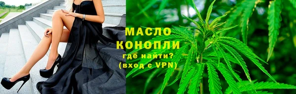 мдпв Тавда