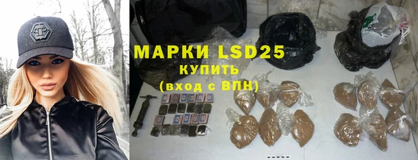 прущие грибы Тайга