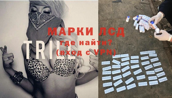прущие грибы Тайга