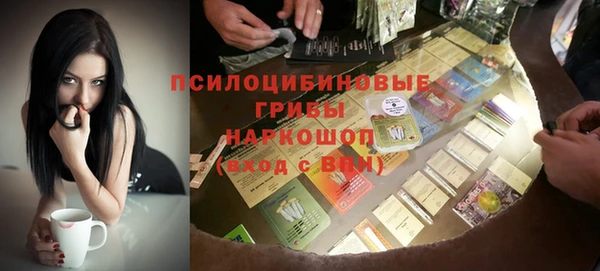 мдпв Тавда