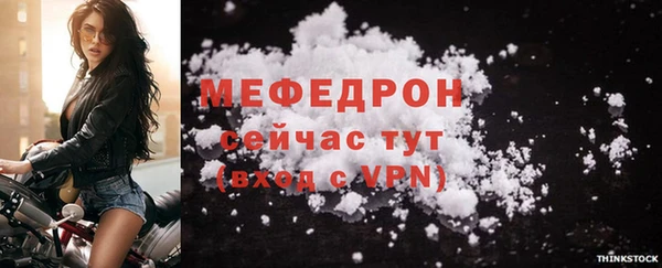 сатива Сясьстрой