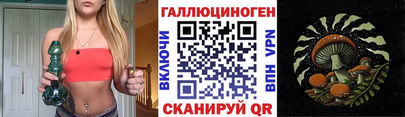 Купить  Терек  Псилоцибиновые грибы ЛСД 